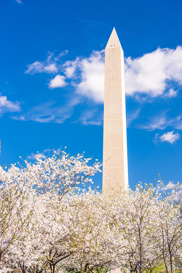 Spring Photograph - Washington Dc, Usa In Spring Season #7 by Sean Pavone