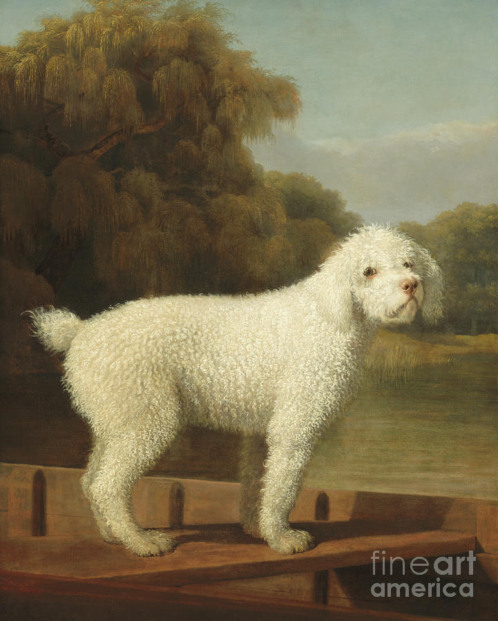 White Poodle in a Punt Painting by George Stubbs