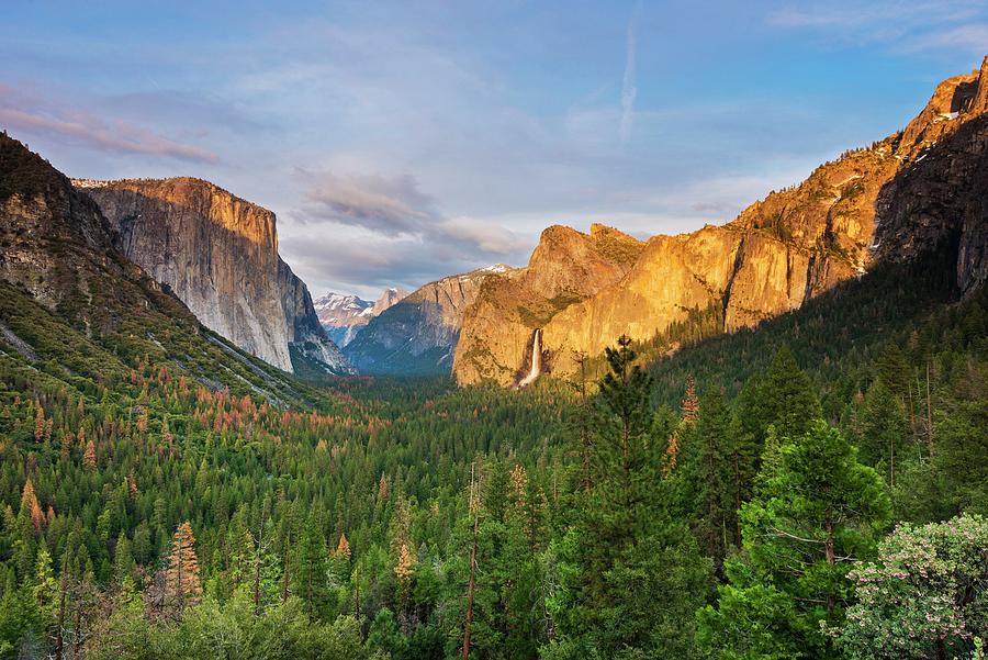 Yosemite National Park, California #7 Digital Art by Jordan Banks
