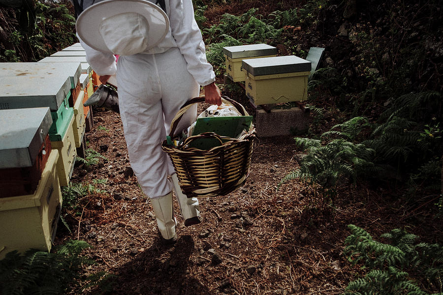 Nature Photograph - Young Woman Beekeeper At Work In A Nature #7 by Cavan Images