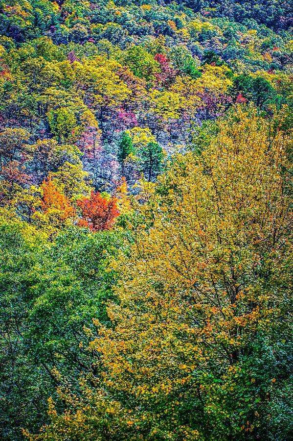 Blue Ridge And Smoky Mountains Changing Color In Fall #70 Photograph by Alex Grichenko