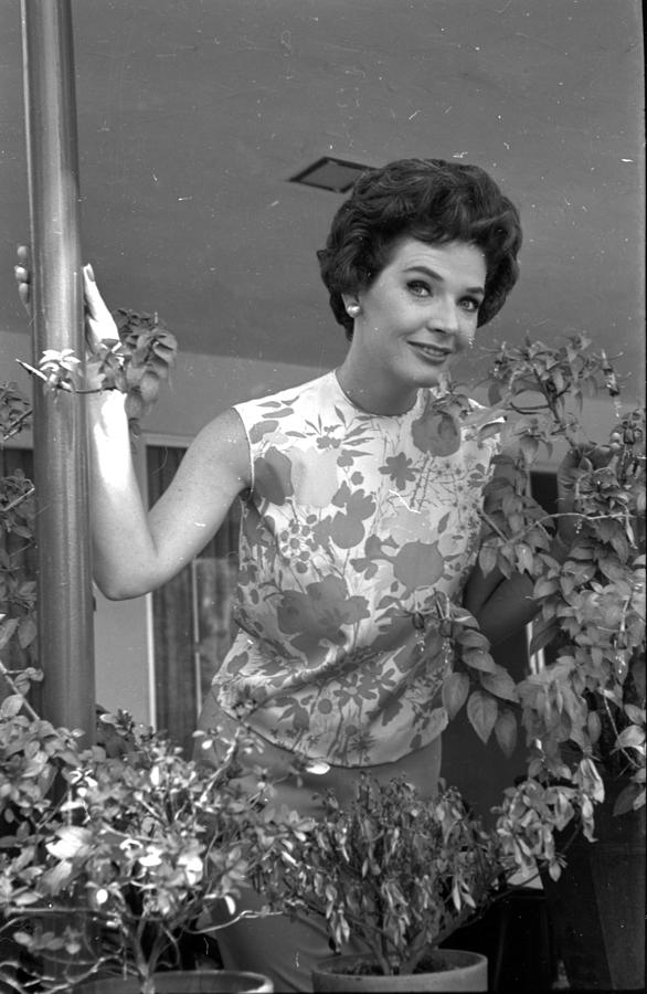 Polly Bergen Photograph By Bill Kobrin Pixels