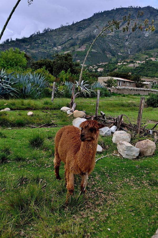 Ancash - Peru Photograph