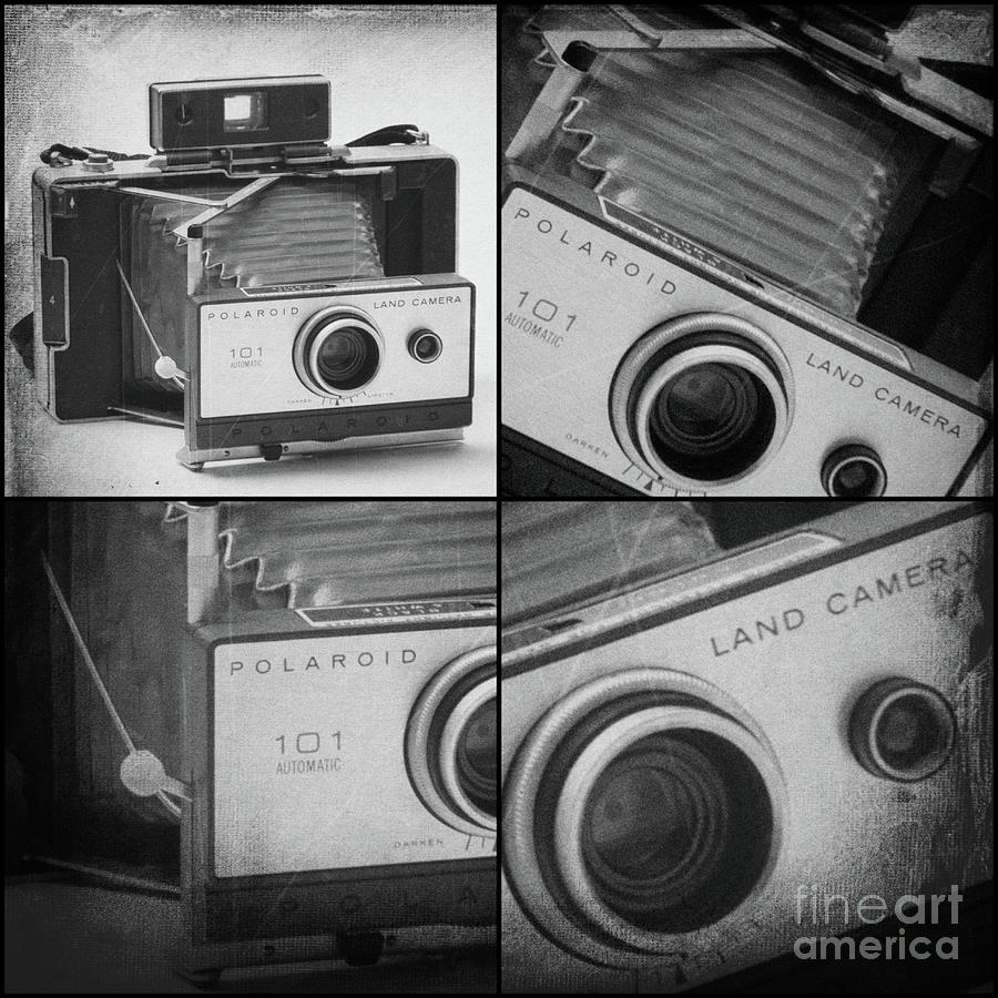Film Camera Series Photograph