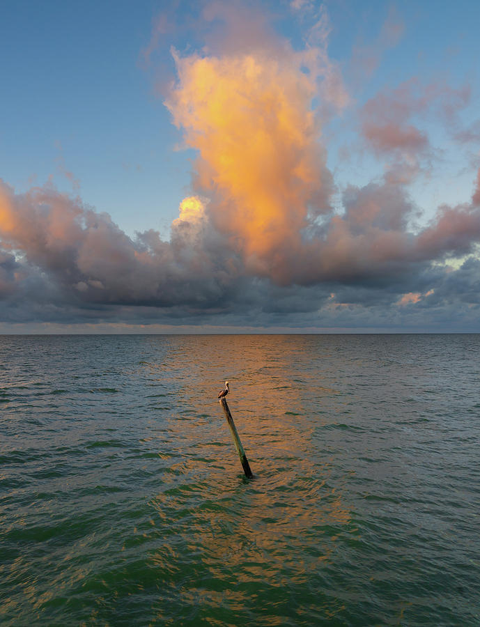 untitled by Bill Martin untitled by Bill Martin