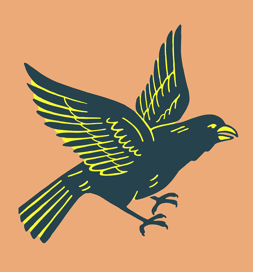 Blackbird Drawing - Bird #74 by CSA Images