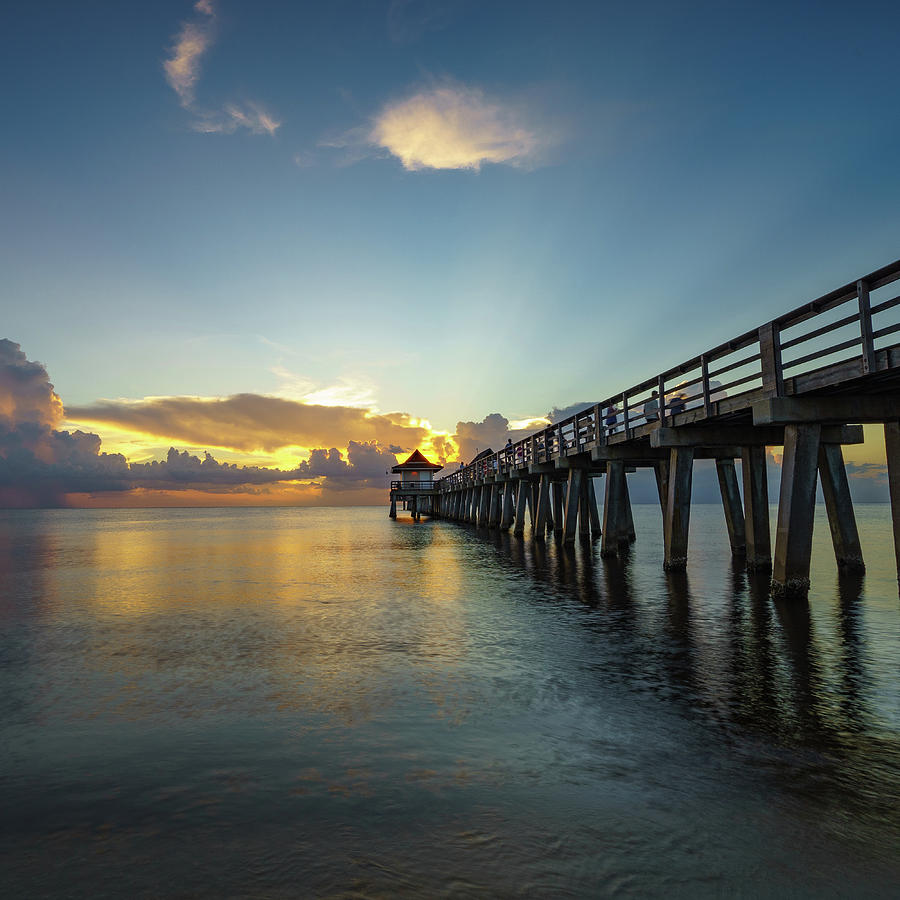 untitled by Bill Martin untitled by Bill Martin