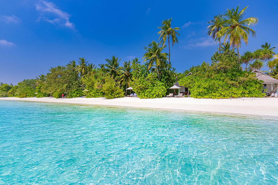 Tropical Beach Background As Summer Photograph By Levente Bodo - Fine 