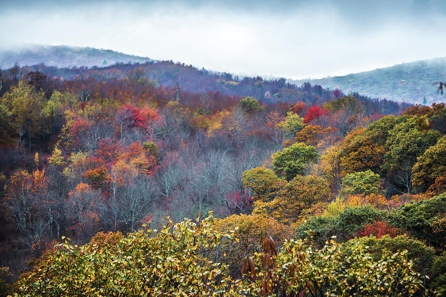 Blue Ridge And Smoky Mountains Changing Color In Fall #77 Photograph by Alex Grichenko