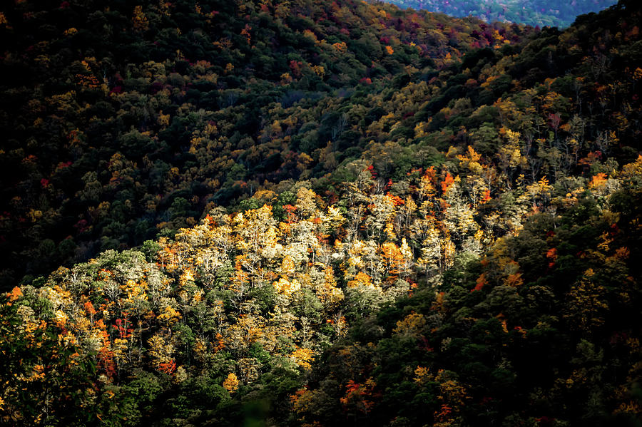 Blue Ridge And Smoky Mountains Changing Color In Fall #79 Photograph by Alex Grichenko