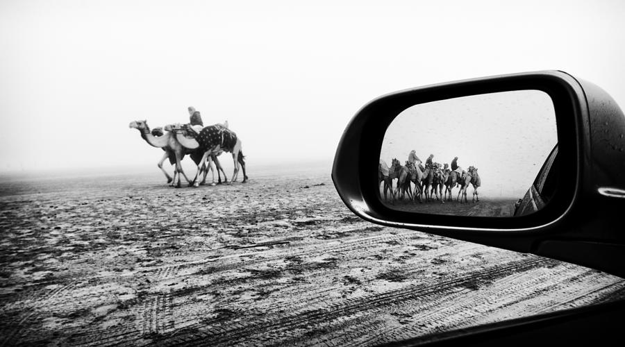  #8 Photograph by Rami Al Adwan