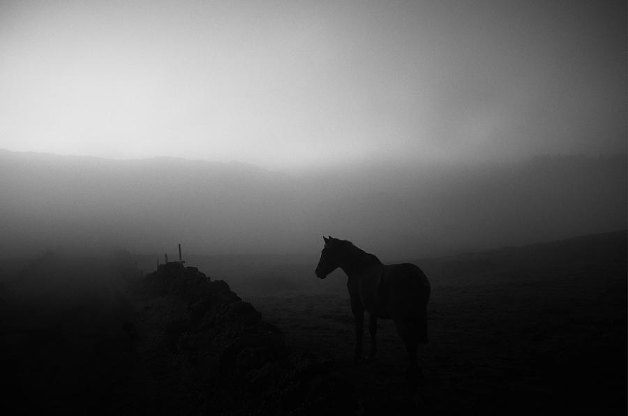 . Photograph by Rui Caria - Fine Art America