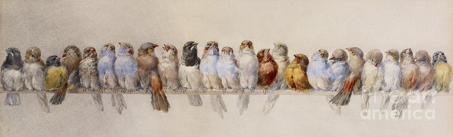A Perch of Birds Painting by Hector Giacomelli