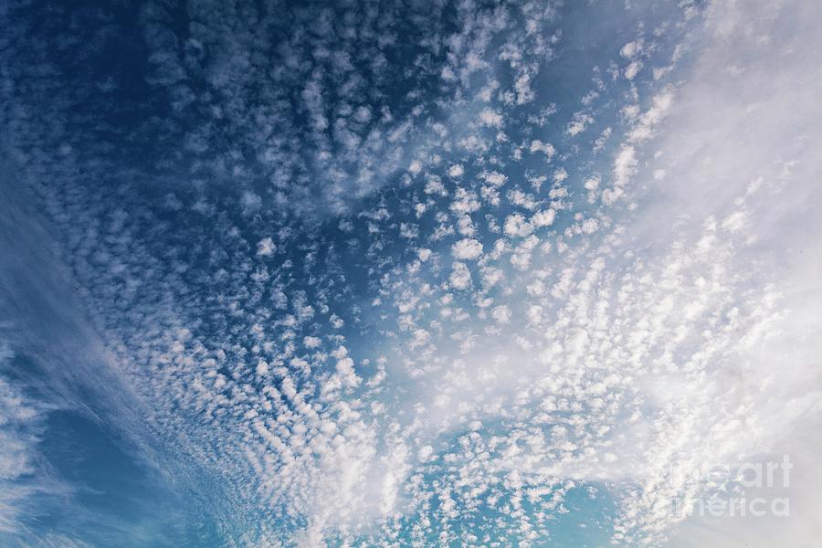 Altocumulus Stratiformis Clouds Photograph By Stephen Burt/science ...