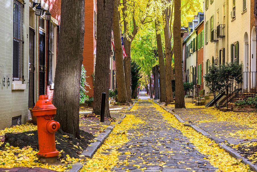 Tree Photograph - Autumn Alleyway In A Traditional #8 by Sean Pavone