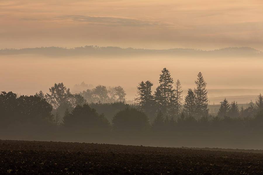 Autumn foggy and misty sunrise landscape Photograph by Artush Foto ...