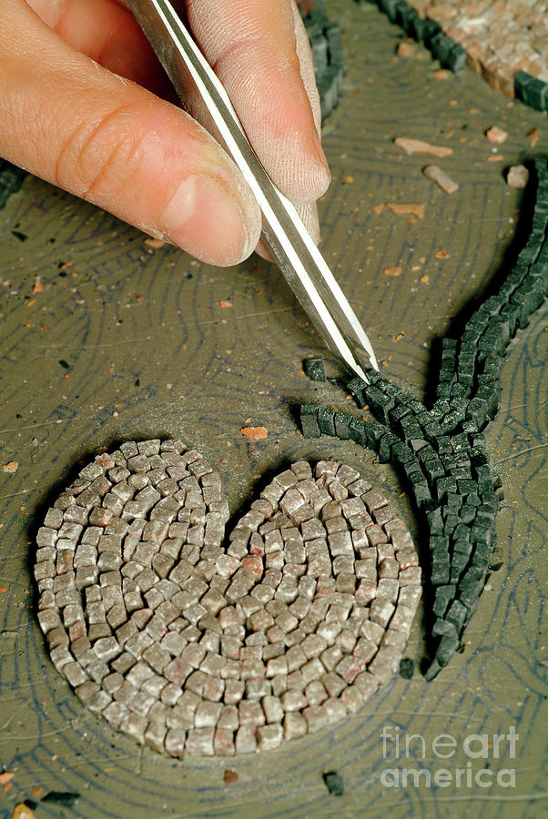 Battle Of Issus Mosaic Reconstruction #8 Photograph by Pasquale Sorrentino/science Photo Library