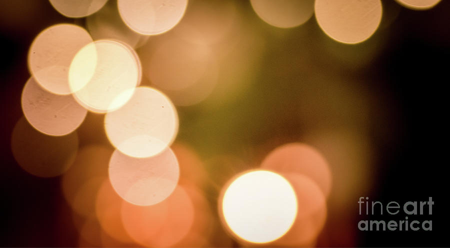 Bokeh Photograph