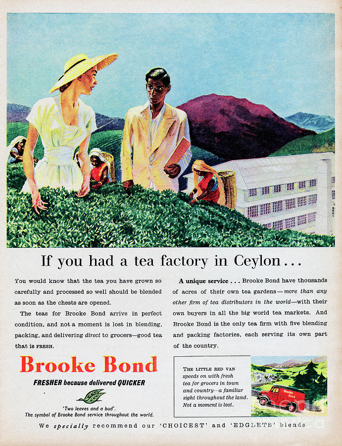 Brooke Bond Tea #8 Photograph by Picture Post