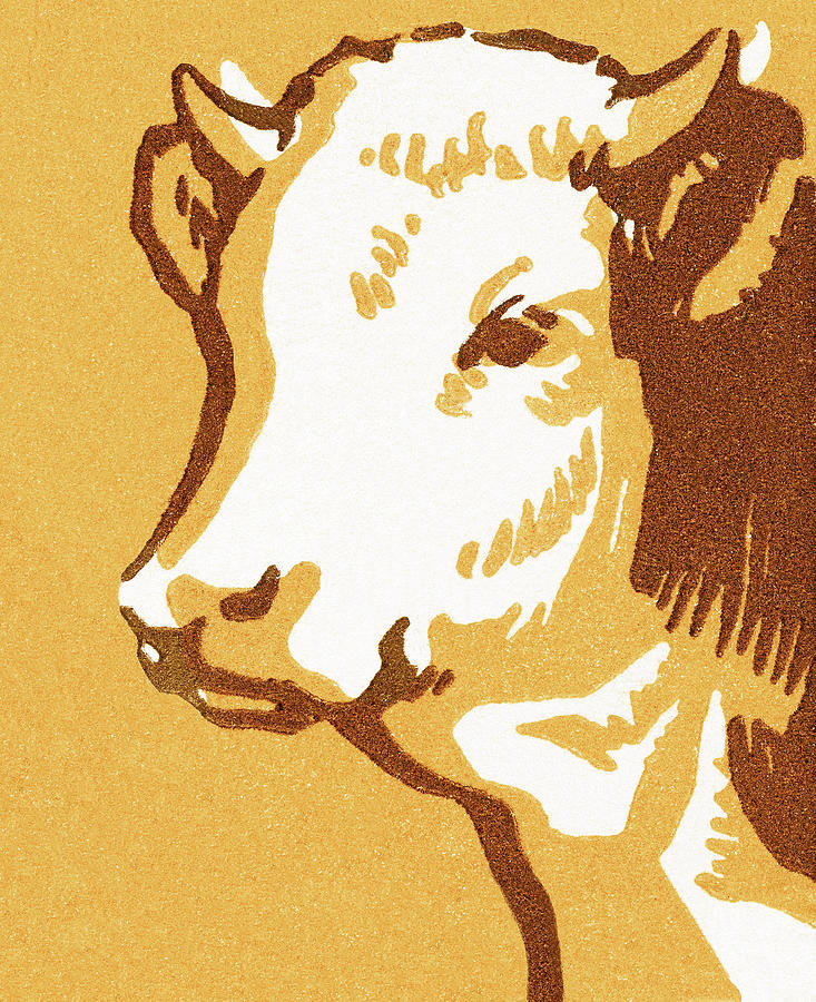Vintage Drawing - Bull #8 by CSA Images