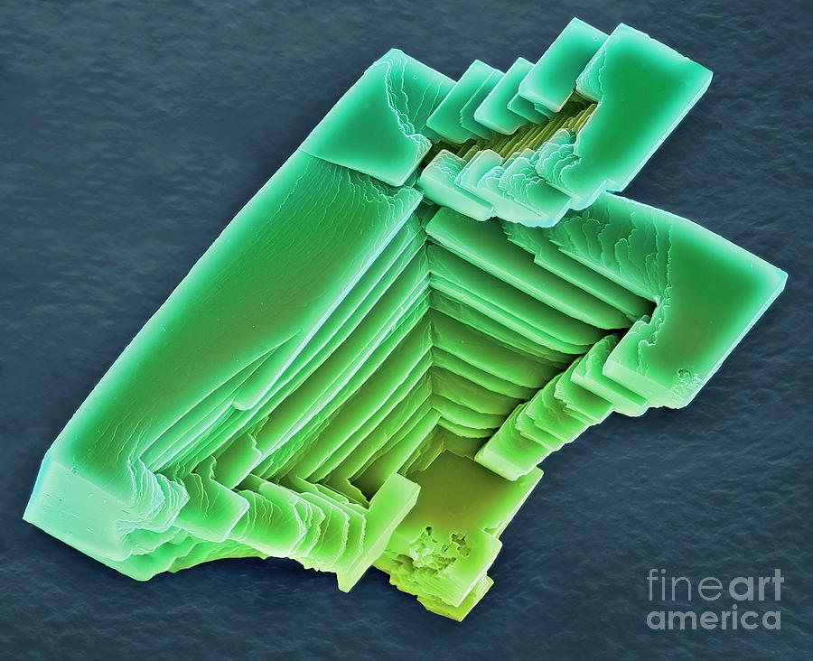 Calcium Carbonate Crystals #8 Photograph by Steve Gschmeissner/science Photo Library