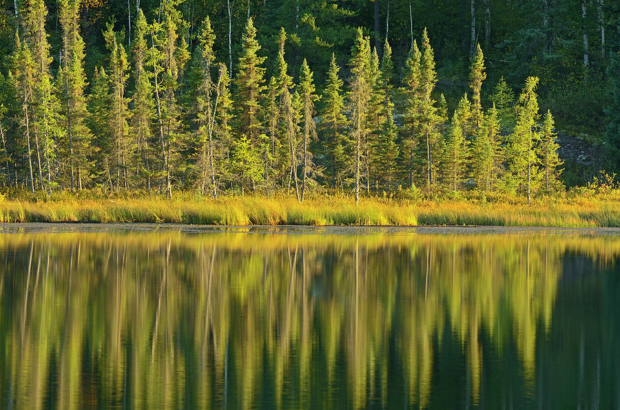 Canada, Manitoba, Whiteshell Provincial Photograph by Jaynes Gallery ...