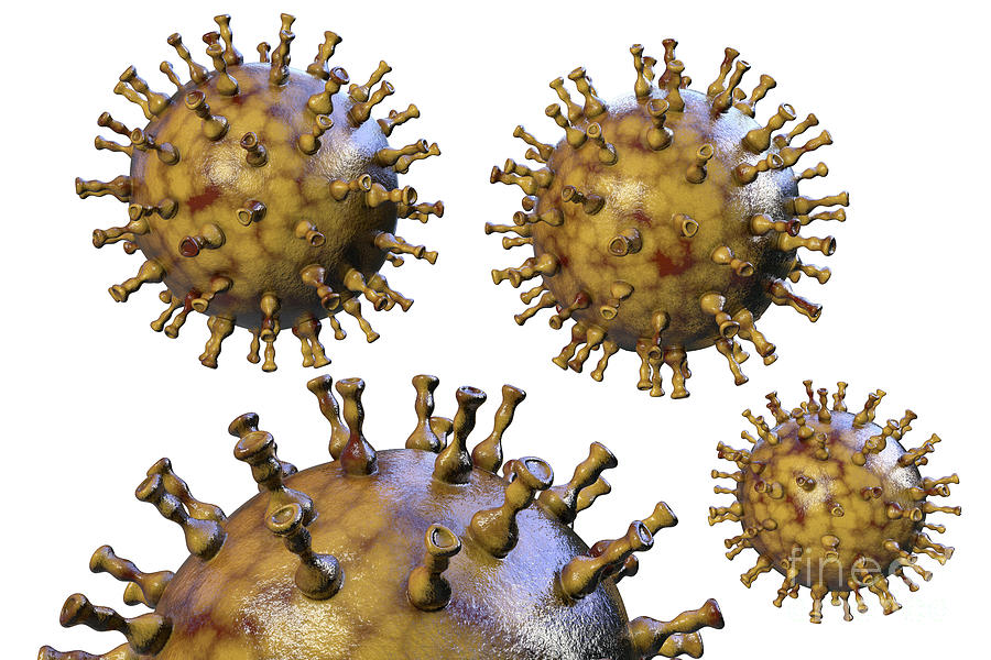 Chickenpox Virus #8 Photograph by Kateryna Kon/science Photo Library