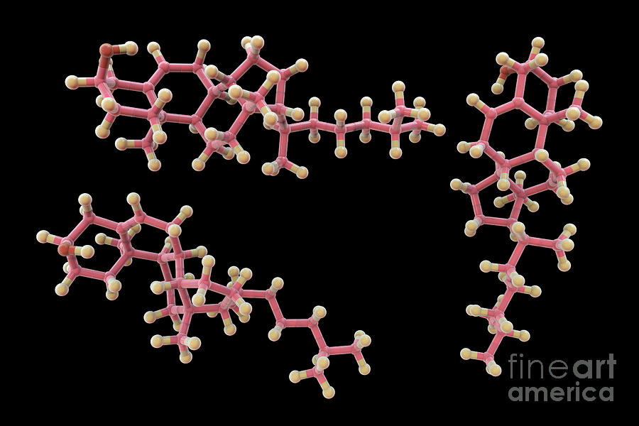 Cholesterol Molecule #8 by Kateryna Kon/science Photo Library