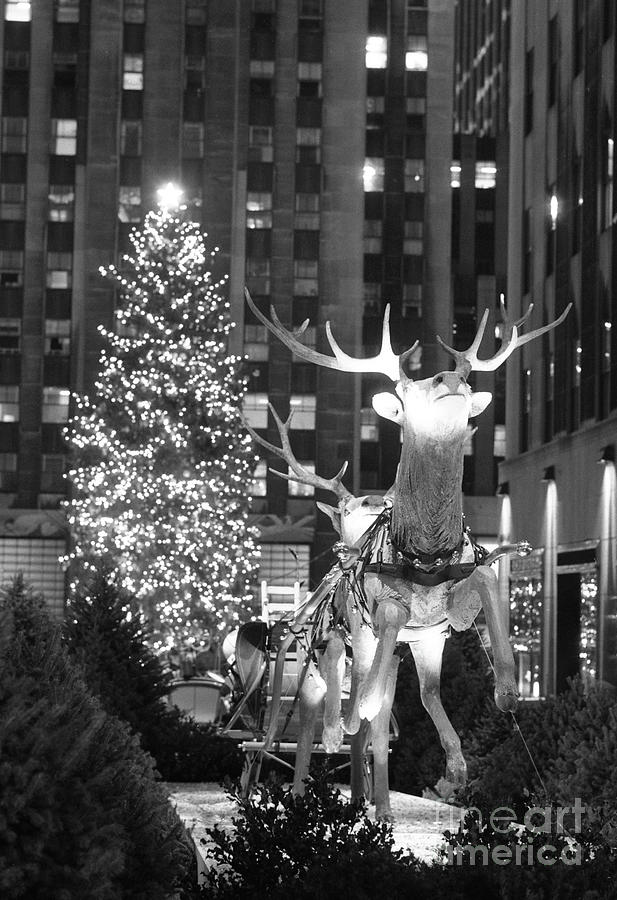 Christmas Tree At Rockefeller Center #8 Photograph by Bettmann