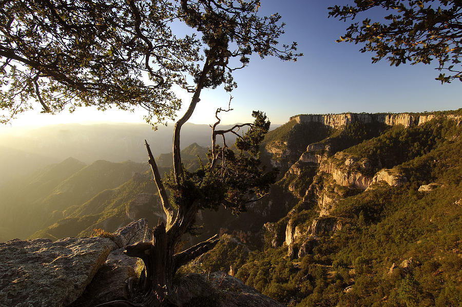 Copper Canyon, Chihuahua, Mexico Digital Art by Heeb Photos - Fine Art ...