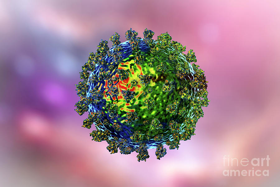 Covid Coronavirus Particles Photograph By Kateryna Kon Science Photo Library Fine Art America