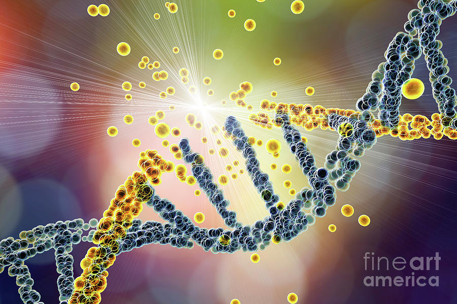 dna damage experiments