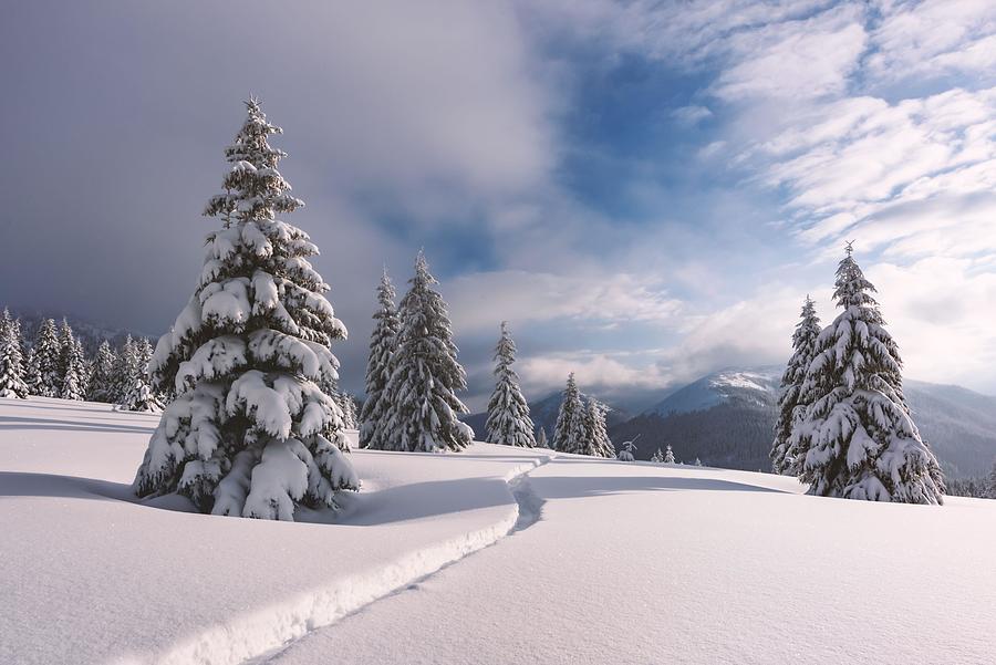 Winter Photograph - Fantastic Winter Landscape With Snowy #8 by Ivan Kmit