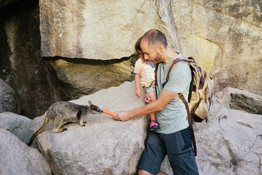 Carrot Photograph - Father And Toddler Daughter Feeding A Wallaby With Carrot In Australia #8 by Cavan Images