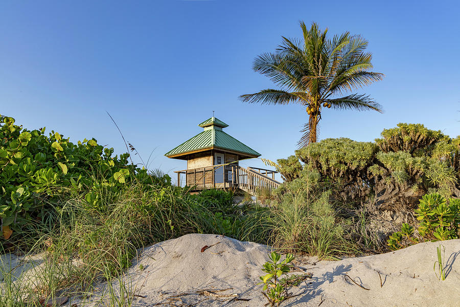 Florida, Boca Raton, Lifeguard Tower With Palm Tree At The Beach #8 Digital Art by Laura Diez