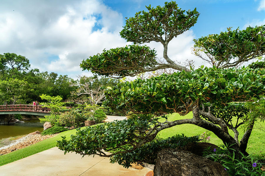 Florida, South Florida, Delray Beach, Morikami Japanese Gardens #8 Digital Art by Laura Zeid