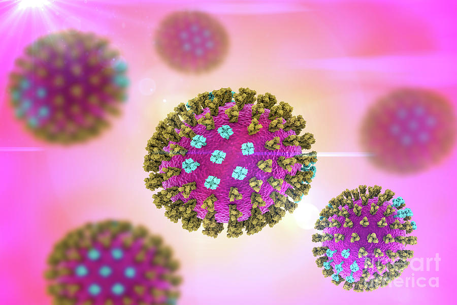 Flu Viruses Photograph By Kateryna Kon/science Photo Library - Fine Art ...