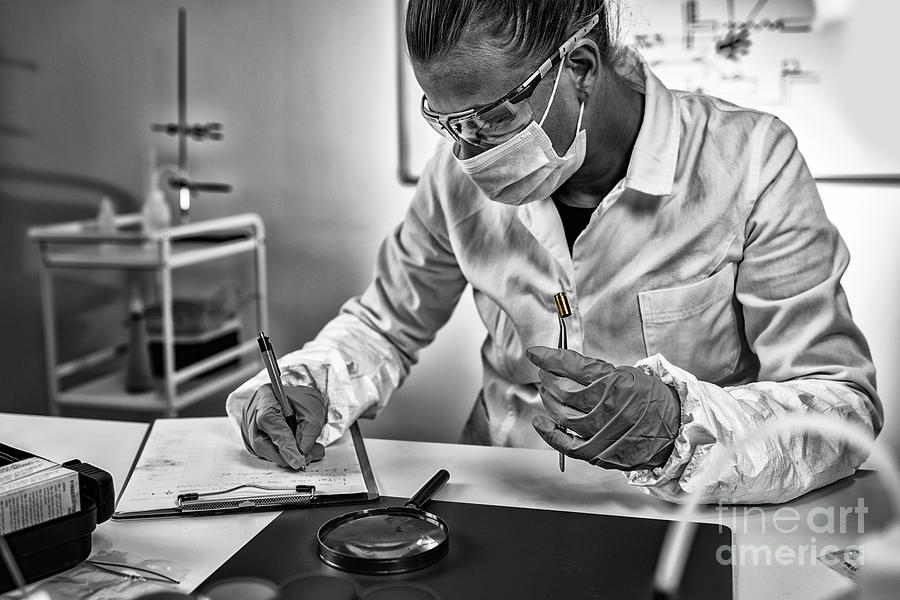Forensic Investigator Examining Evidence In Lab Photograph by Microgen