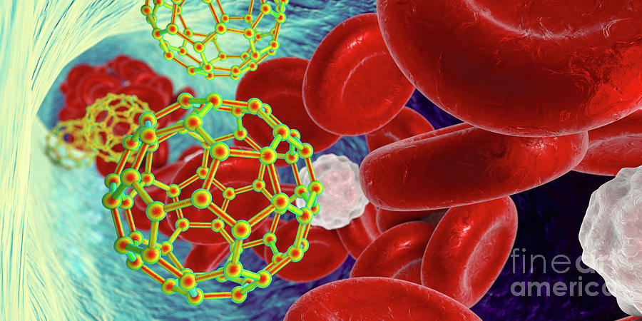 Fullerene Nanoparticles In Blood #8 Photograph by Kateryna Kon/science Photo Library