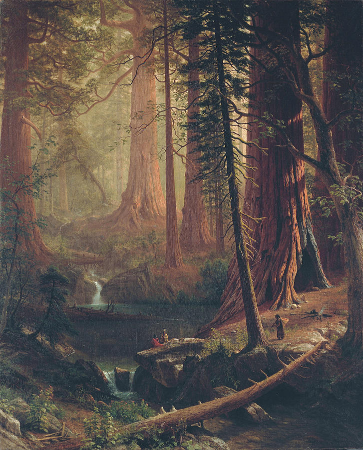 Albert Bierstadt  Painting - Giant Redwood Trees of California  #16 by Albert Bierstadt