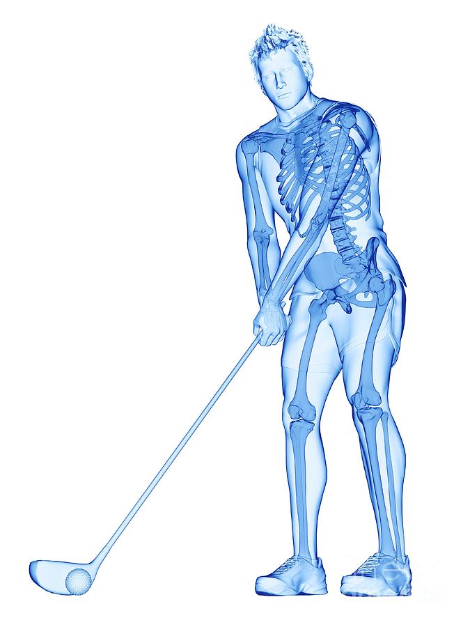 Golf Players Skeleton #8 Photograph by Sebastian Kaulitzki/science Photo Library