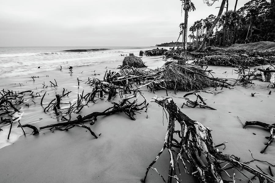 Hunting Island South Carolina Beach Scenes #8 Photograph by Alex Grichenko