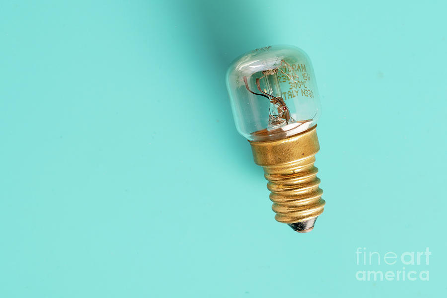Light Bulb #8 Photograph by Wladimir Bulgar/science Photo Library