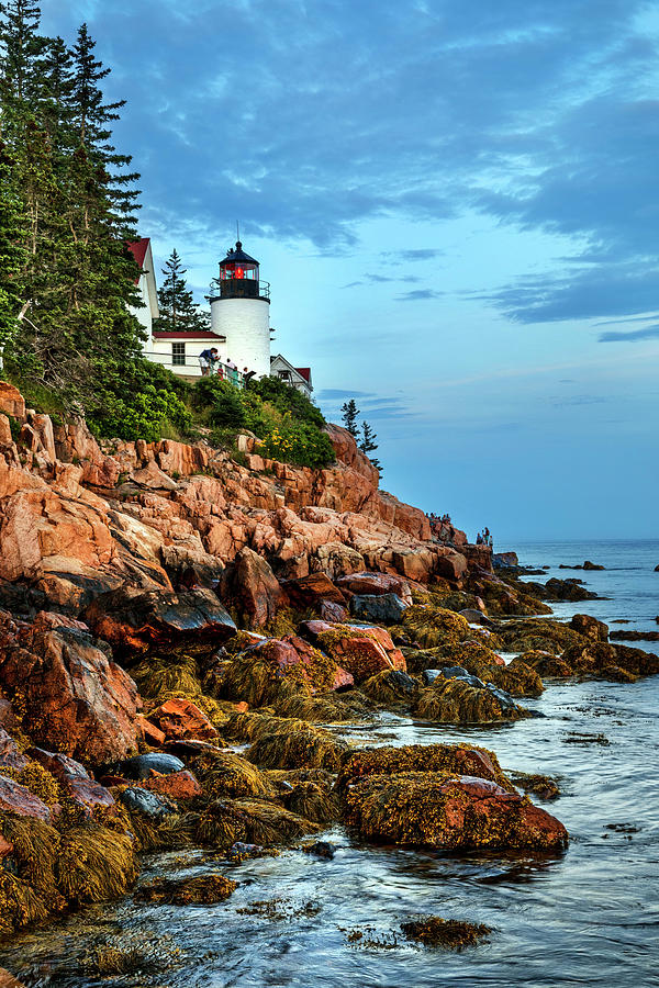 Lighthouse, Bass Harbor, Maine #8 Digital Art by Claudia Uripos