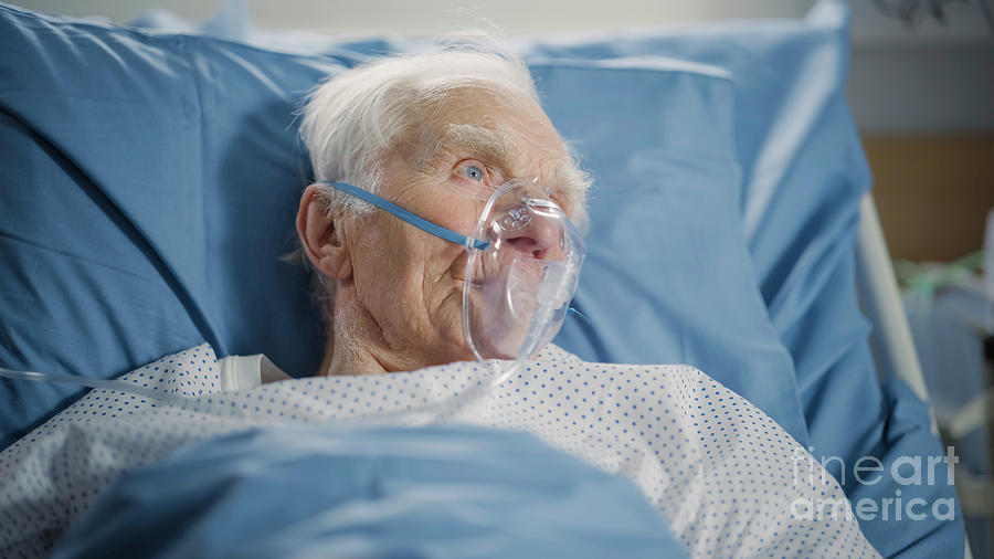 Bed Photograph - Man Wearing Oxygen Mask In Hospital Bed #8 by Gorodenkoff Productions/science Photo Library