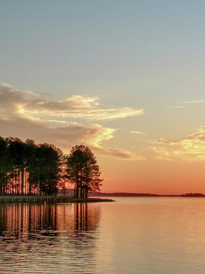 Monticello Reservoir In South Carolina At Sunset #8 Photograph by Alex Grichenko