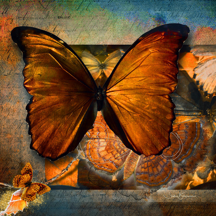Butterfly Digital Art - Butterflies by Shelley Benjamin