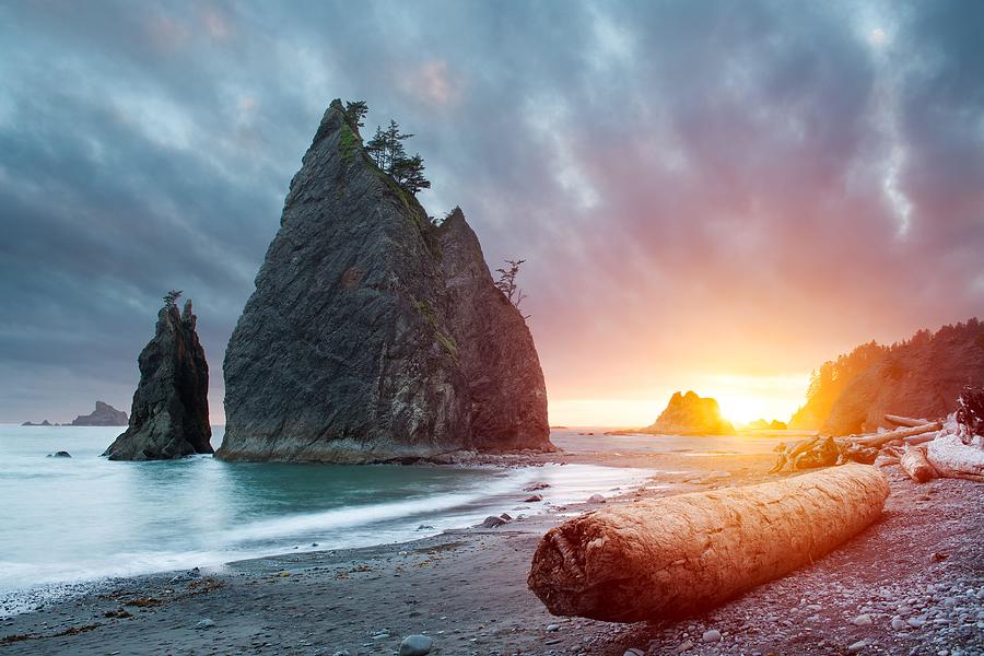 Olympic National Park Photograph - Olympic National Park, Washington, Usa #8 by Sean Pavone