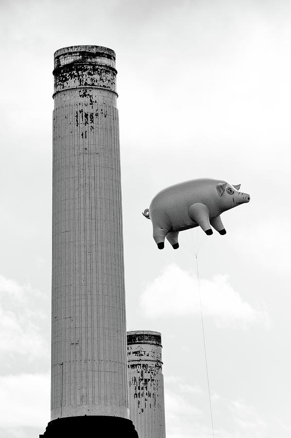 London Photograph - Pink Floyd Pig at Battersea #9 by Dawn OConnor