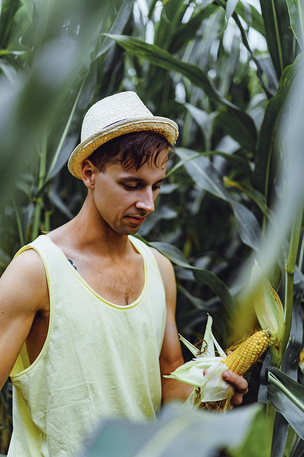 Portrait Of A Farm Man In A Hat In A Green Field Picking Up The Corn ...